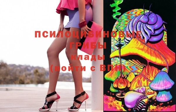 спиды Алзамай