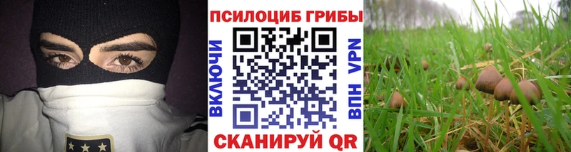 цена наркотик  Ветлуга  MEGA зеркало  Псилоцибиновые грибы мухоморы 
