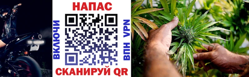 Марихуана SATIVA & INDICA Ветлуга